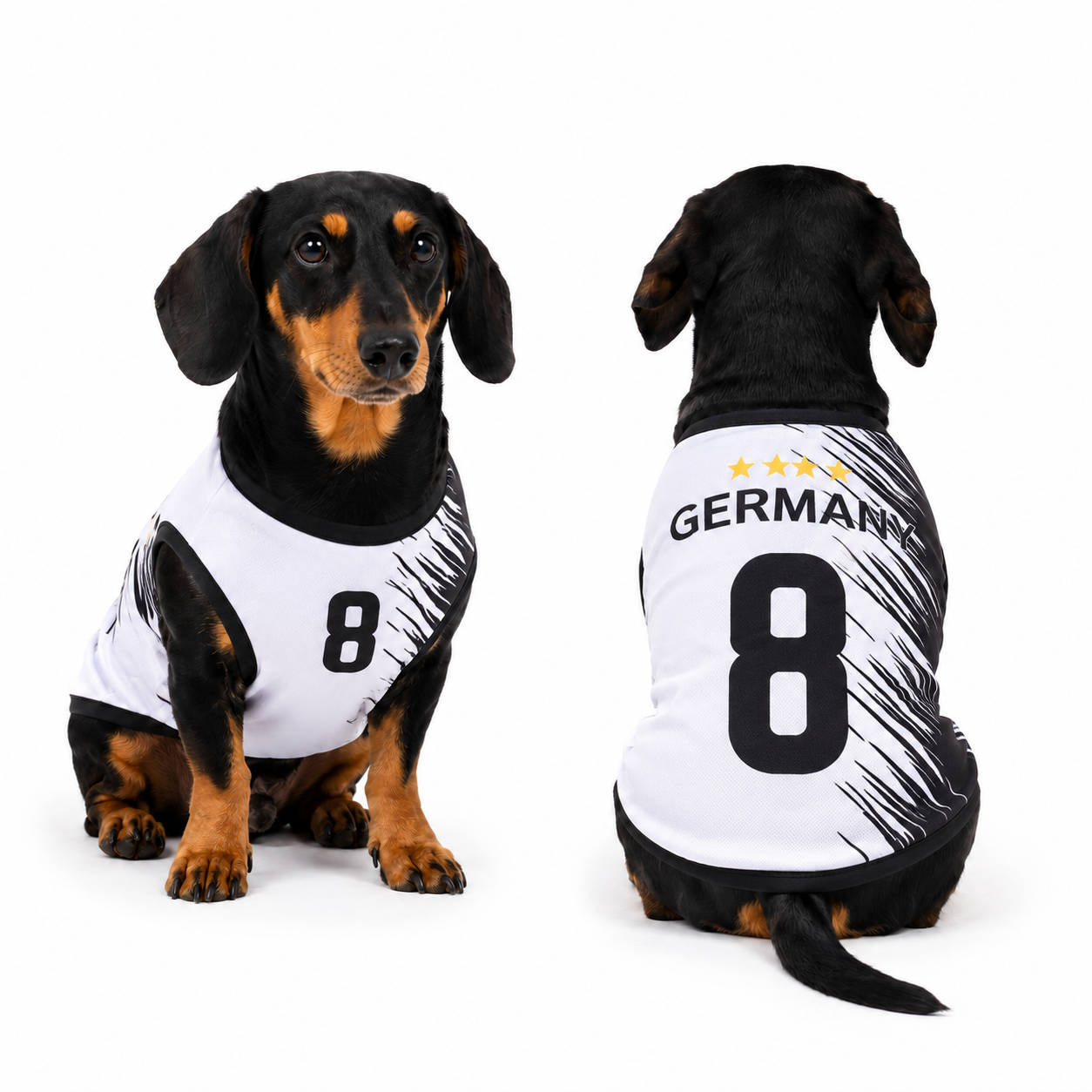 Germany Matchday Dog Kit