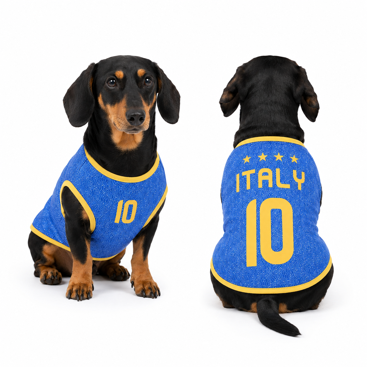 Italy Matchday Dog Kit