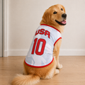 USA Matchday Dog Kit on a golden retriever