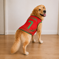 Portugal Matchday Dog Kit on a golden retriever