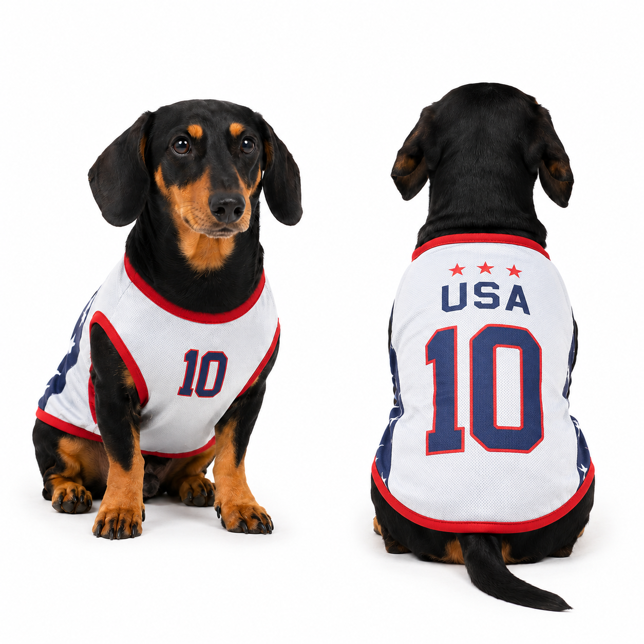 USA Matchday Dog Kit