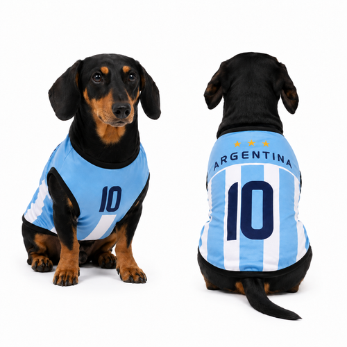 Argentina Matchday Dog Kit