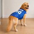 Japan Matchday Dog Kit on a golden retriever