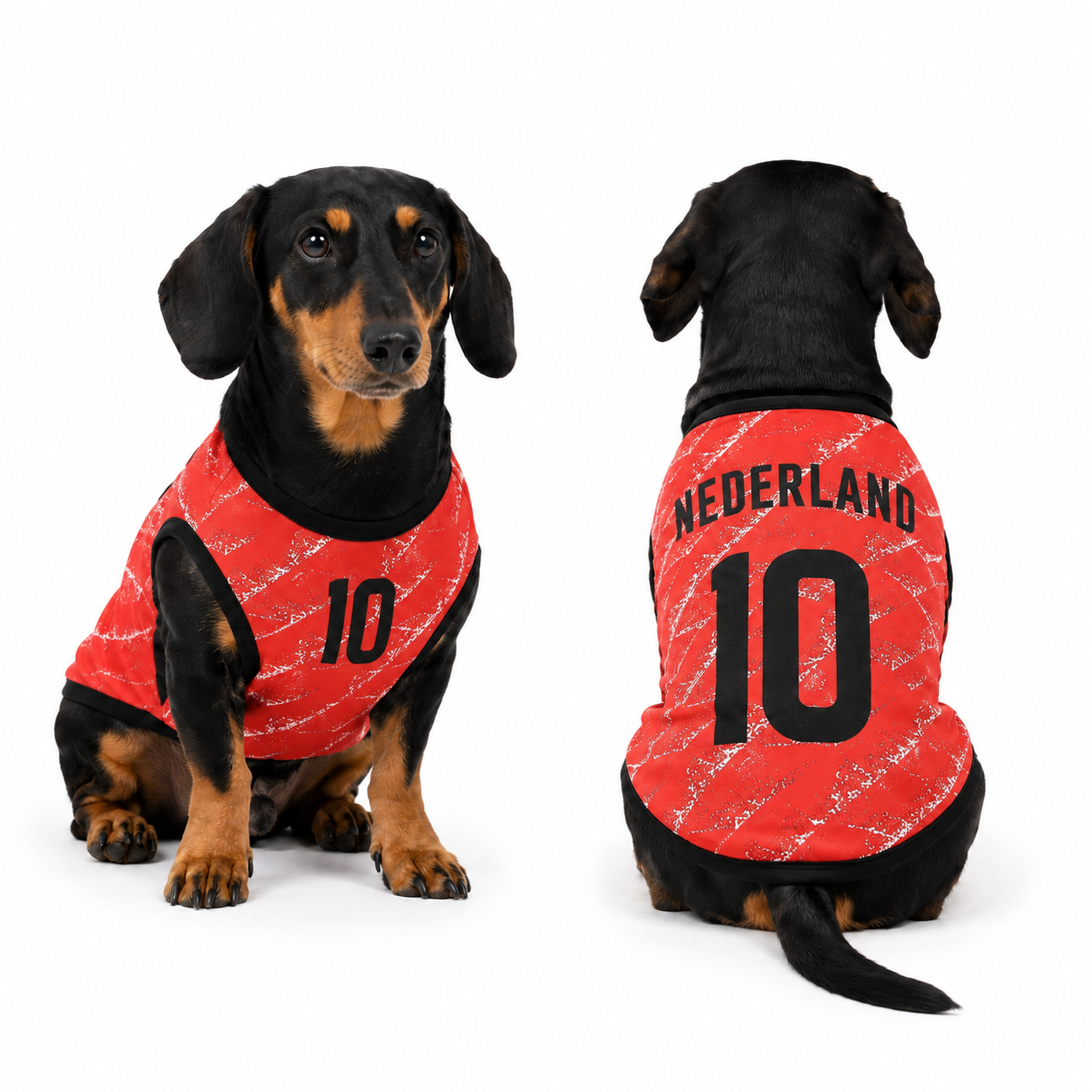 Netherlands Matchday Dog Kit