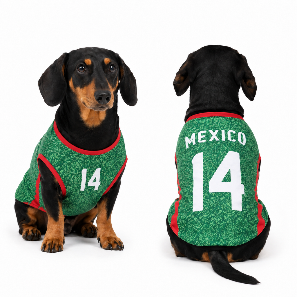 Mexico Matchday Dog Kit