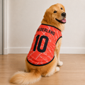 Netherlands Matchday Dog Kit on a golden retriever