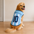 Argentina Matchday Dog Kit on a golden retriever