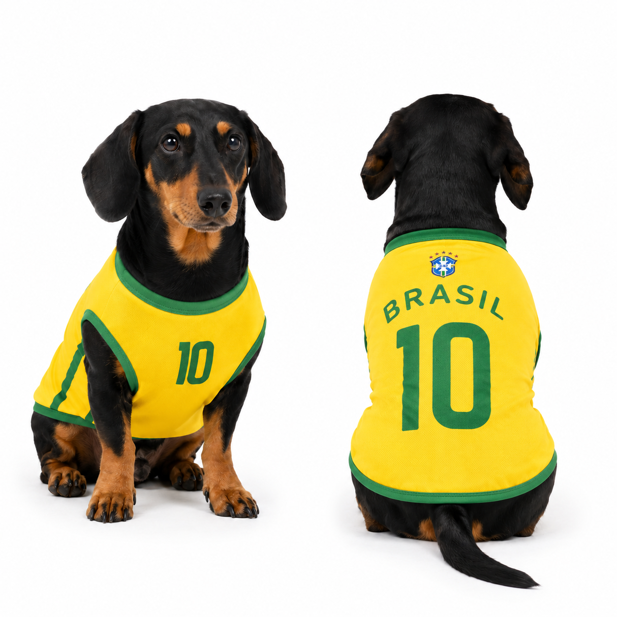 Brazil Matchday Dog Kit