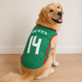 Mexico Matchday Dog Kit on a golden retriever